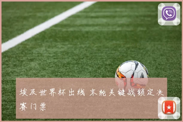 埃及世界杯出线 末轮关键战锁定决赛门票
