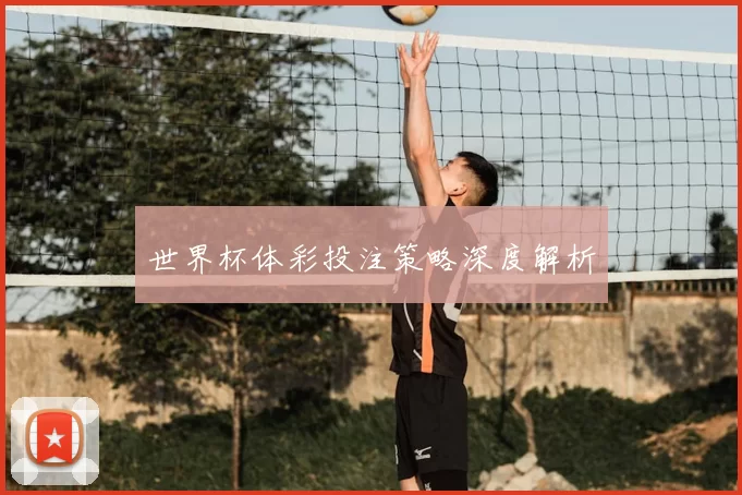 世界杯体彩投注策略深度解析