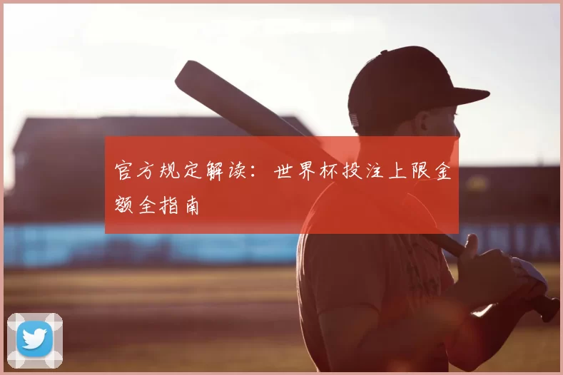 官方规定解读:世界杯投注上限金额全指南