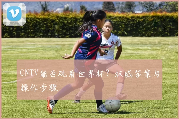 CNTV能否观看世界杯?权威答案与操作步骤