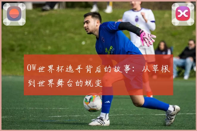 OW世界杯选手背后的故事:从草根到世界舞台的蜕变