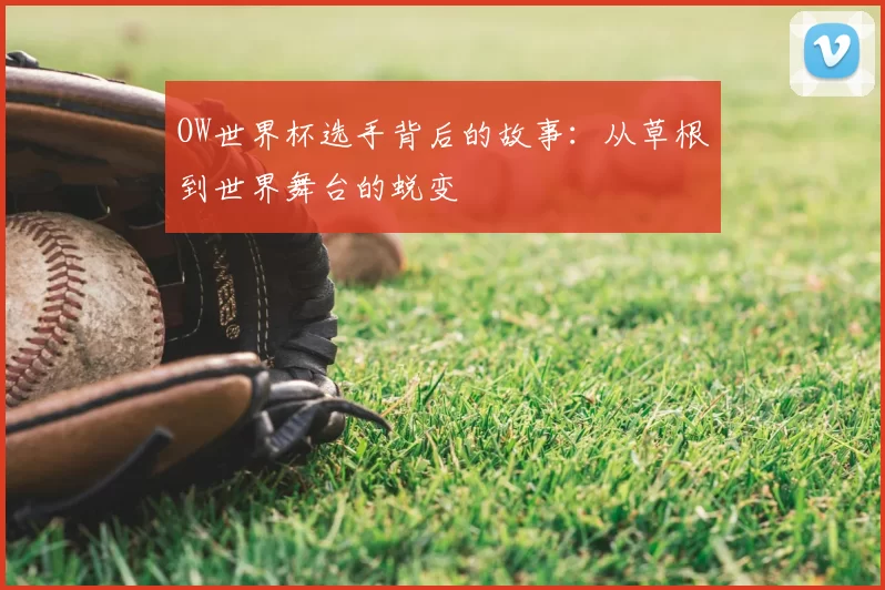 OW世界杯选手背后的故事:从草根到世界舞台的蜕变