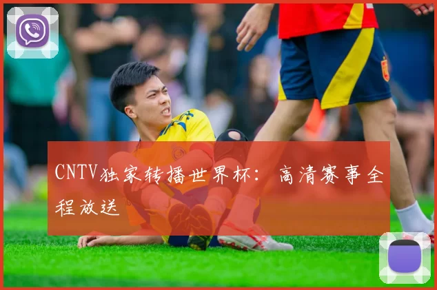 CNTV独家转播世界杯：高清赛事全程放送