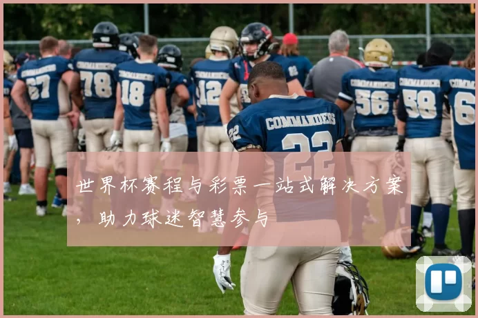 世界杯赛程与彩票一站式解决方案,助力球迷智慧参与