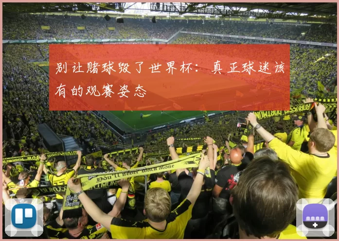别让赌球毁了世界杯:真正球迷该有的观赛姿态