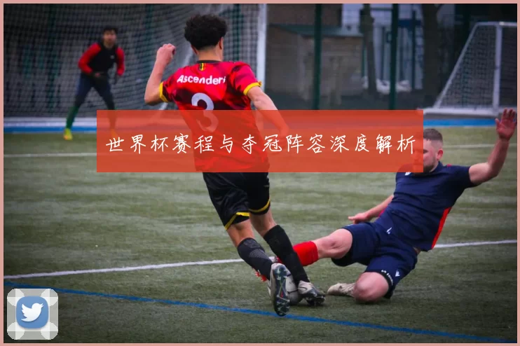 世界杯赛程与夺冠阵容深度解析